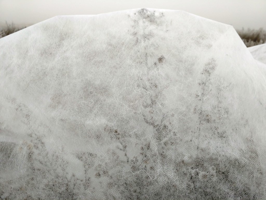 Malla Térmica Manta Antiheladas | Protección contra el Frío de Frutales y Plantas de Exterior, Cultivos o Huertos | Funda Plástico Protector de Viento y Control de Plagas | 6,5x12m (78m2)