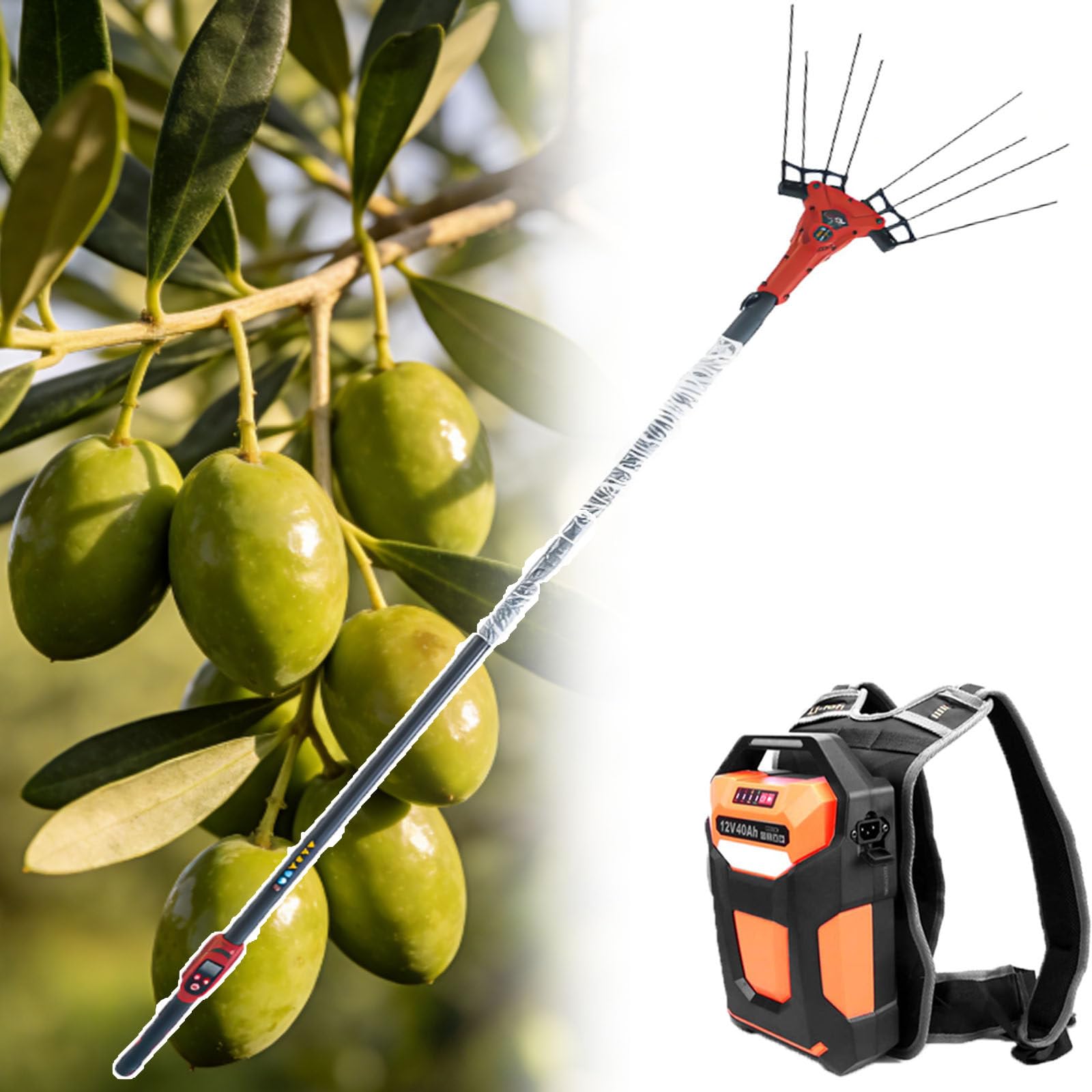 Cosechadora De Aceitunas Eléctrica con Pértiga Extensible De 1,74 A 3 Metros,Sacudidora Eléctrica para Árboles Frutales con 6500 RPM,Recolector De Fruta Motorizado para Ramas Altas 600W