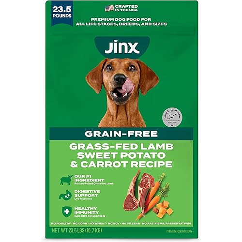 Jinx Premium Grain-Free Dry Dog Food, for All Lifestages - Grass-Fed Lamb, Sweet Potato & Carrot Dog Food with Superfoods for Immune Support & Probiotics for Digestive Support - No Fillers - 23.5lb