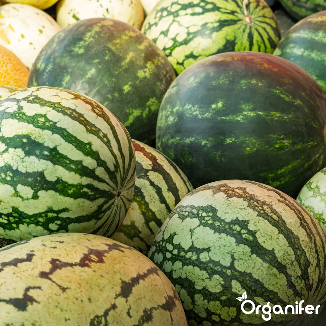 Fertilizzante Liquido Organico per Anguria 1L – Concime per Frutti Grandi e Raccolti Abbondanti
