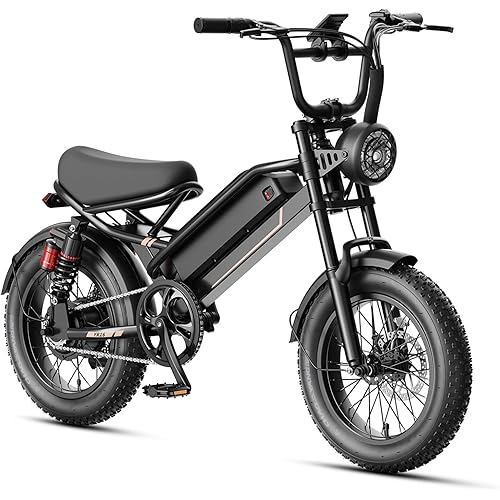Electric Bike for Adults YR16/YR20 with Peak 1000W/2000W Motor, 48V 12.5AH/20AH Battery Electric Bicycle, 16"/20" Fat Tire Dirt Bike with Cruise Control, 55-80 Miles Moped Style Ebike