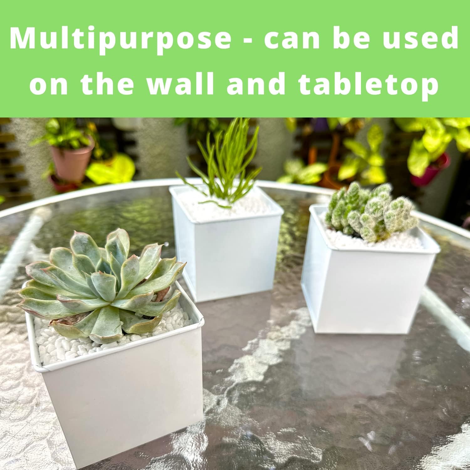 LaLaGreen Wall Planter - 6 Pack, 4 Inch Square Metal Wall Planter for Indoor Plants, Small White Wall Mounted Flower Pots Outdoor Herb Garden Decor, Balcony Railings Hanging Buckets Porch Patio