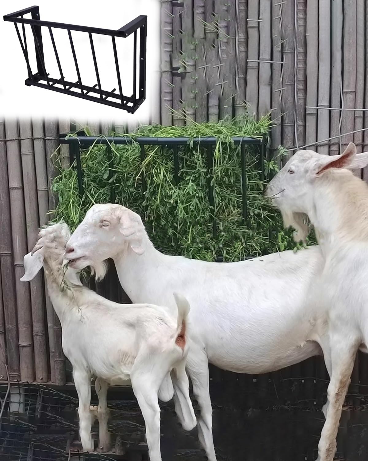 Comedero para caballos de montaje en pared con capacidad de 25 galones para alimentación de heno y cereales