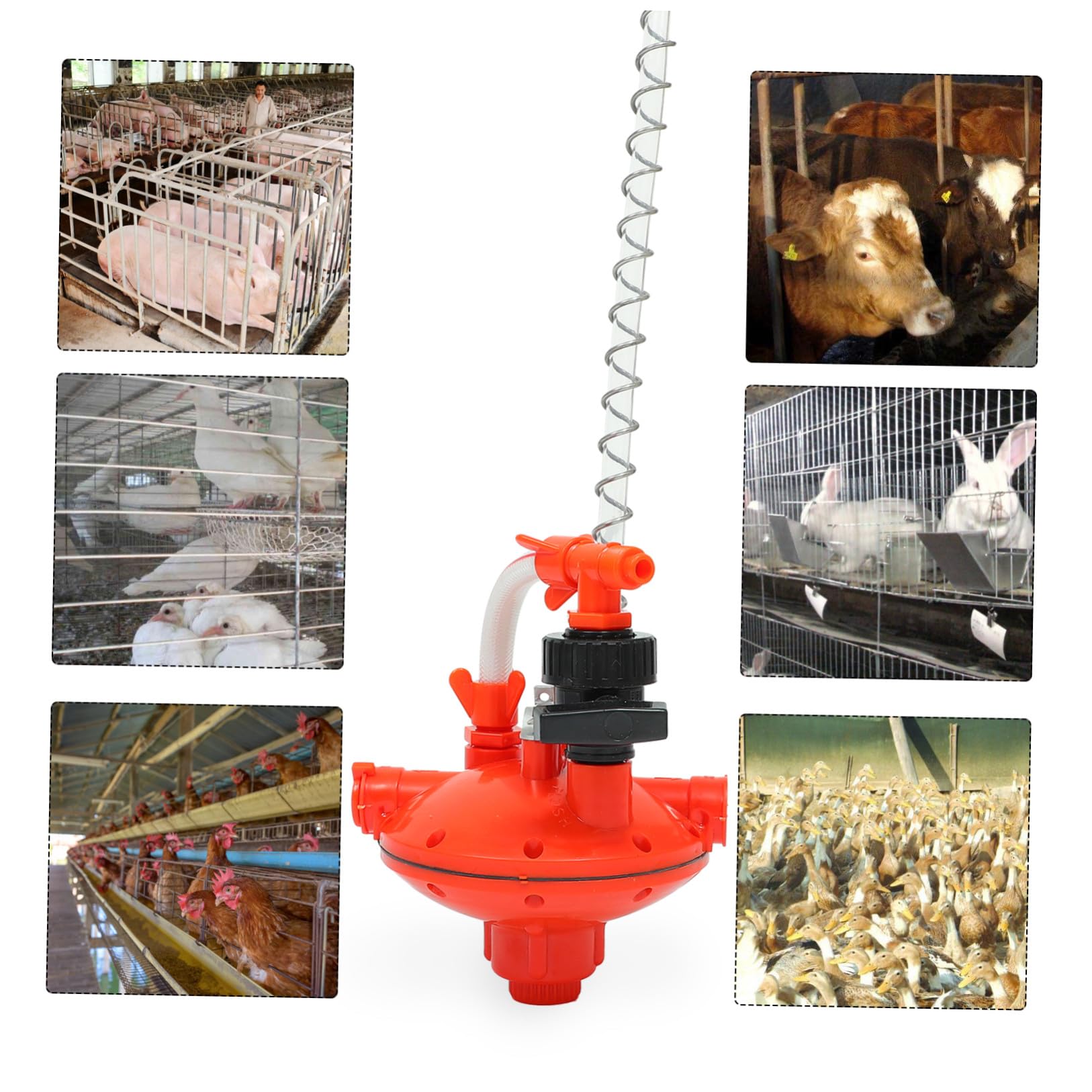 Abbeveratoio Automatico per Galline Regolatore di Pressione Rosso | Plastico, Previene le Perdite, per Allevamento Avicolo, Accessorio 1 Pezzo