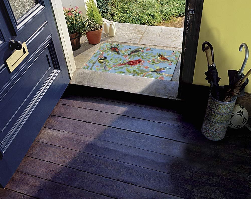 Welcome Door Mat Outdoor Indoor Enty Floor Mat Decorative Bird Print Entrance Rug Non Slip Rubber Doormat Dirt Trapper