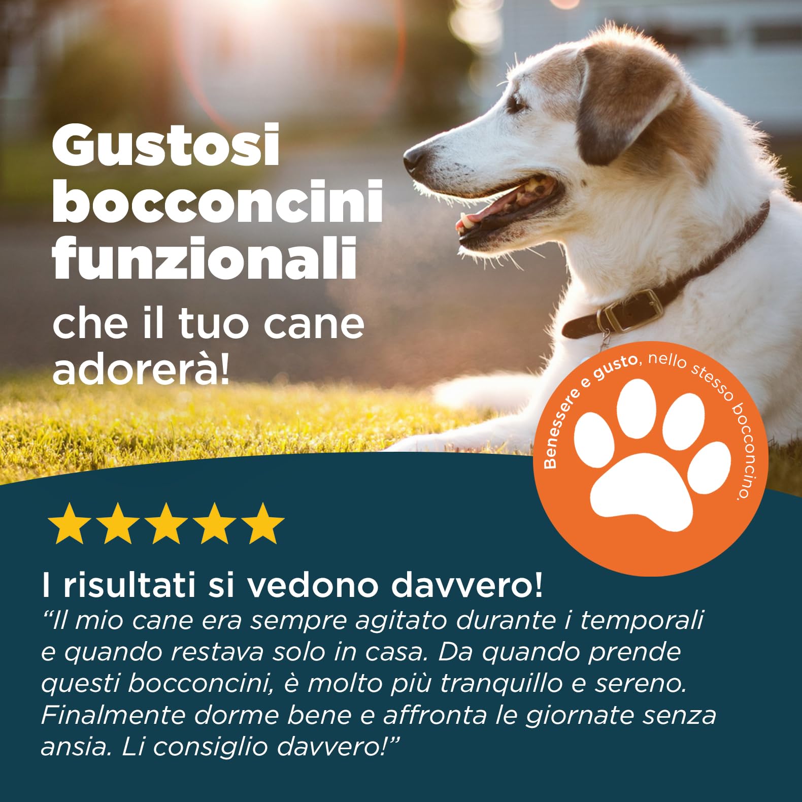 Calma & Serenità per Cani | Integratore Naturale con Valeriana, Passiflora e Camomilla | Supporto Relax, Sonno Sereno e Benessere Emotivo | 60 Bocconcini Gusto Manzo