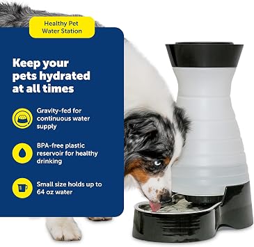 PetSafe Healthy Pet Water Station, 64 oz, Stainless Steel Bowl, Small