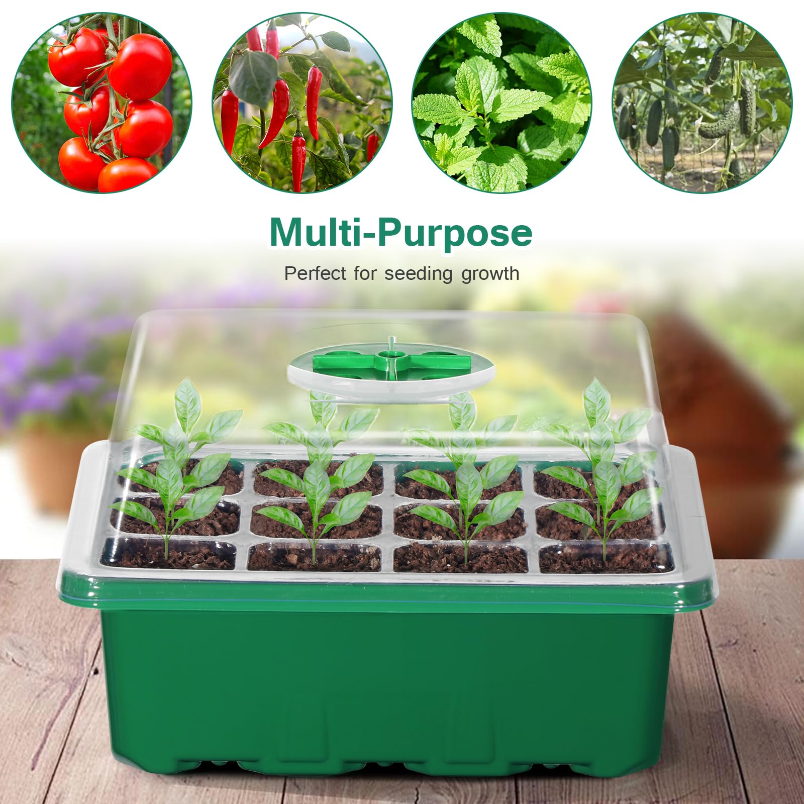 Lot De 10 Mini Serres Pour Semis - 120 Cellules, Avec Couvercle, Plateau De Culture, Propagateur Jardin - 5