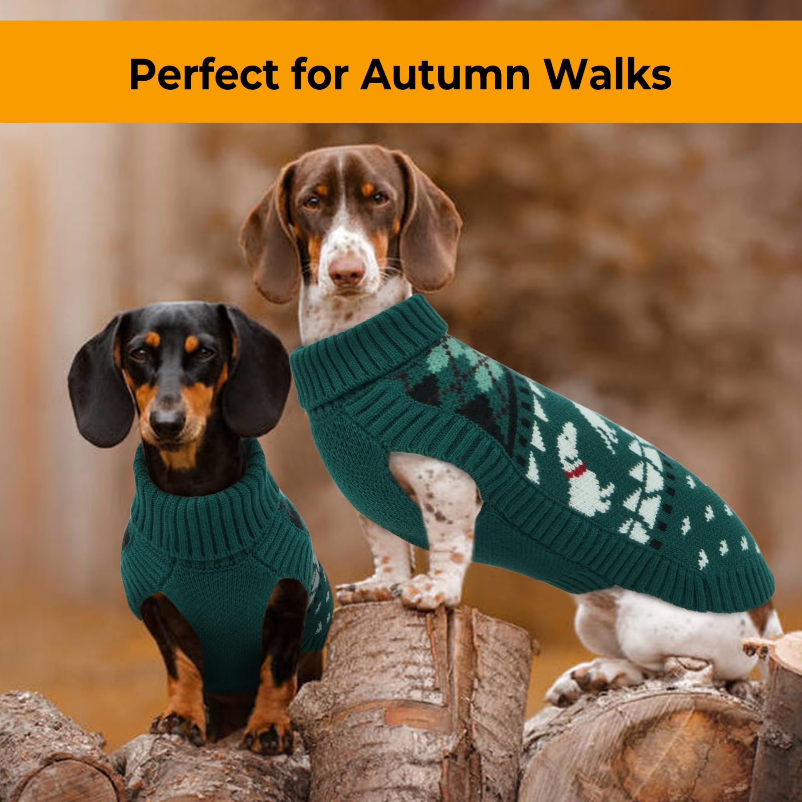 Leletail Pull teckel – Pull à col roulé pour chiens de petite taille, manteau chaud en tricot pour animal domestique, vêtements teckel pour temps froid, tenue confortable pour l'automne et l'hiver
