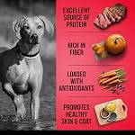 Zoe Grain Free Dog Food, All Breeds, Beef with Peas & Pumpkin, 5 kg