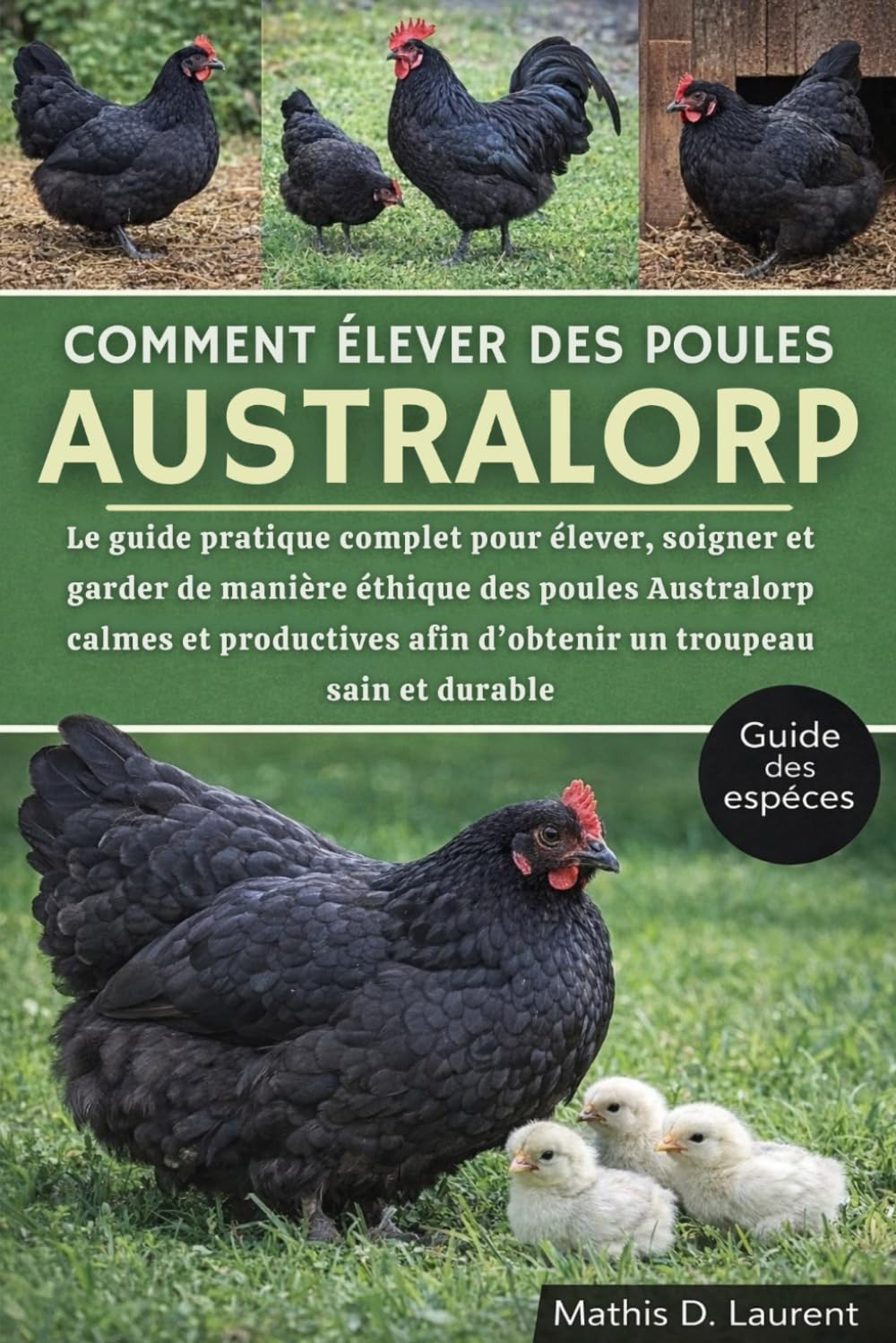 COMMENT ÉLEVER DES POULES AUSTRALORP: Le guide pratique complet pour élever, soigner et garder de manière éthique des poules Australorp calmes et productives afin d’obtenir un troupeau sain et durable