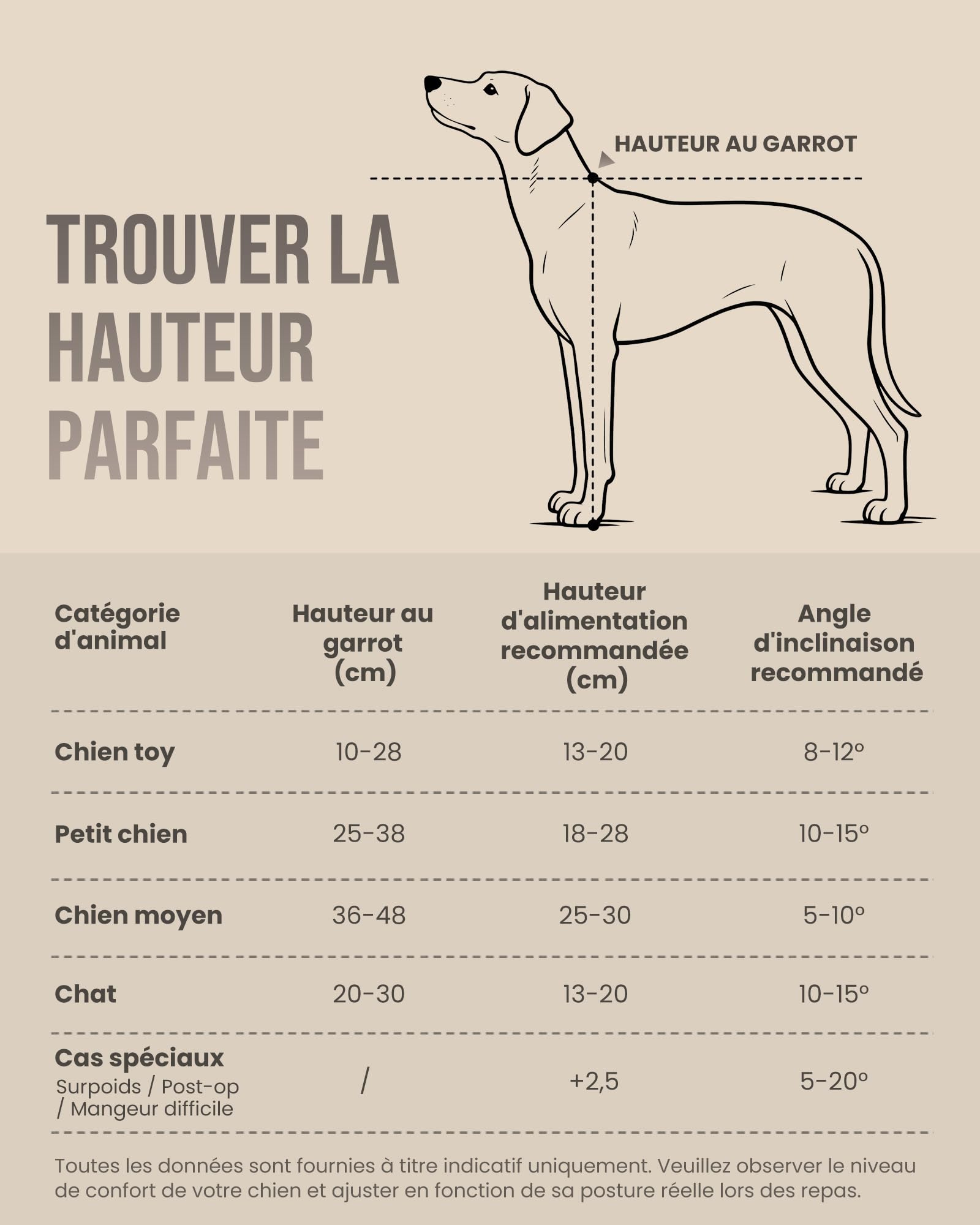 Kittyspout Gamelle surélevée pour chien, réglable en hauteur et en inclinaison