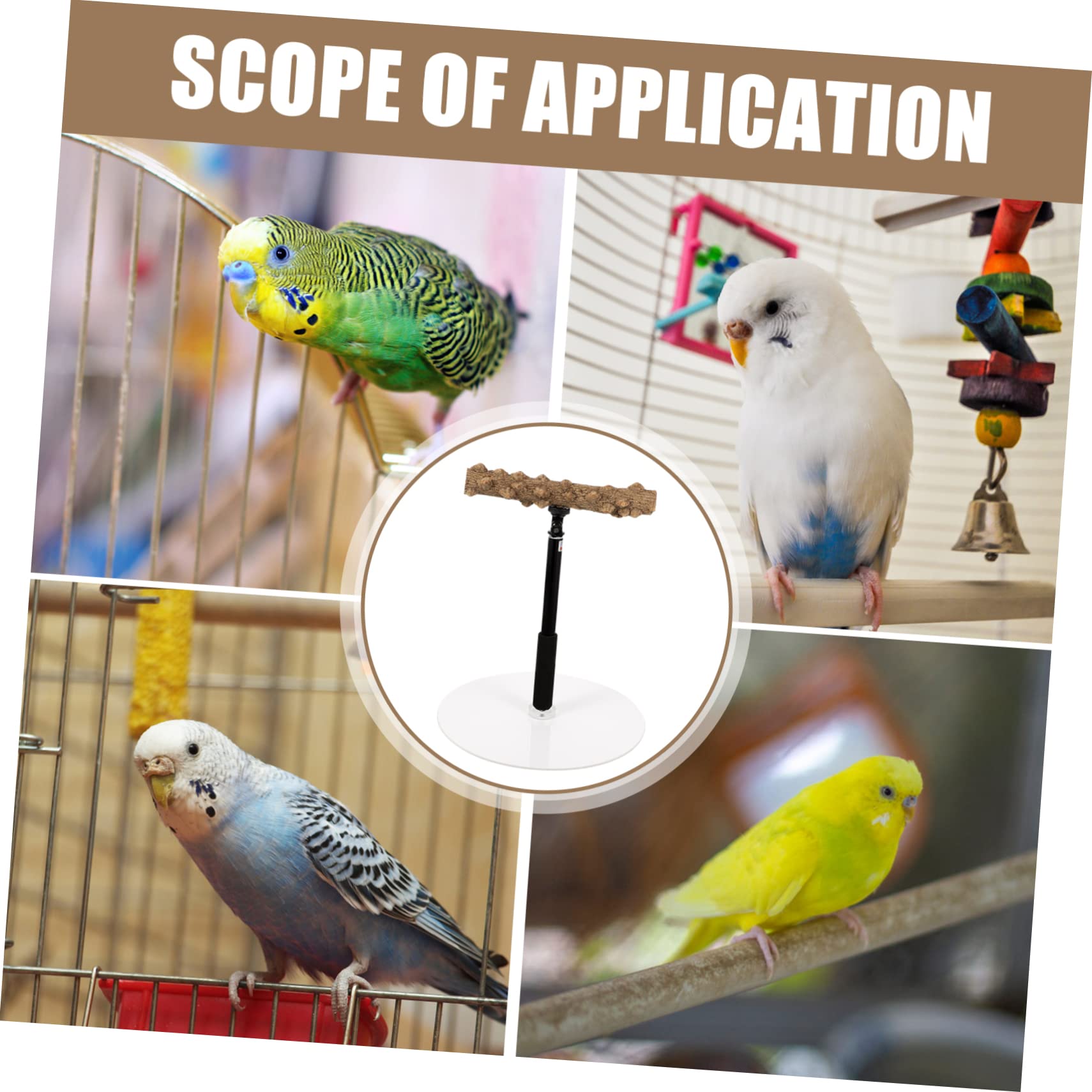 Percha Ajustable de Altura para Loros y Aves, Soporte Metálico | Base Estable, Superficies Rugosas, para Entrenamiento y Observación de Aves Cantando