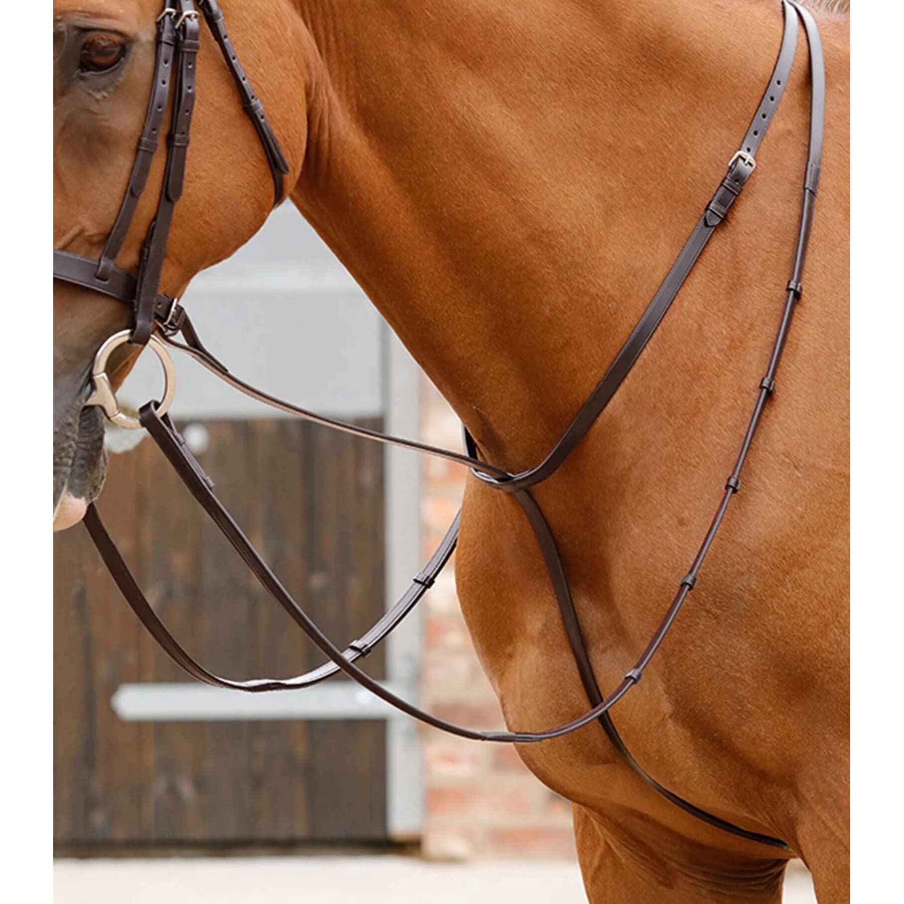 Premier Equine Martingala per Cavalli Gressan
