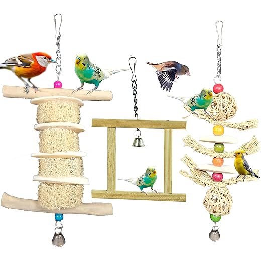 Cuttlebone Bird Toys Combo - Set of 3