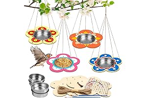 Fennoral Bird Feeder Craft Kits for Kids to Unleash Their Creativity and Passion for Nature