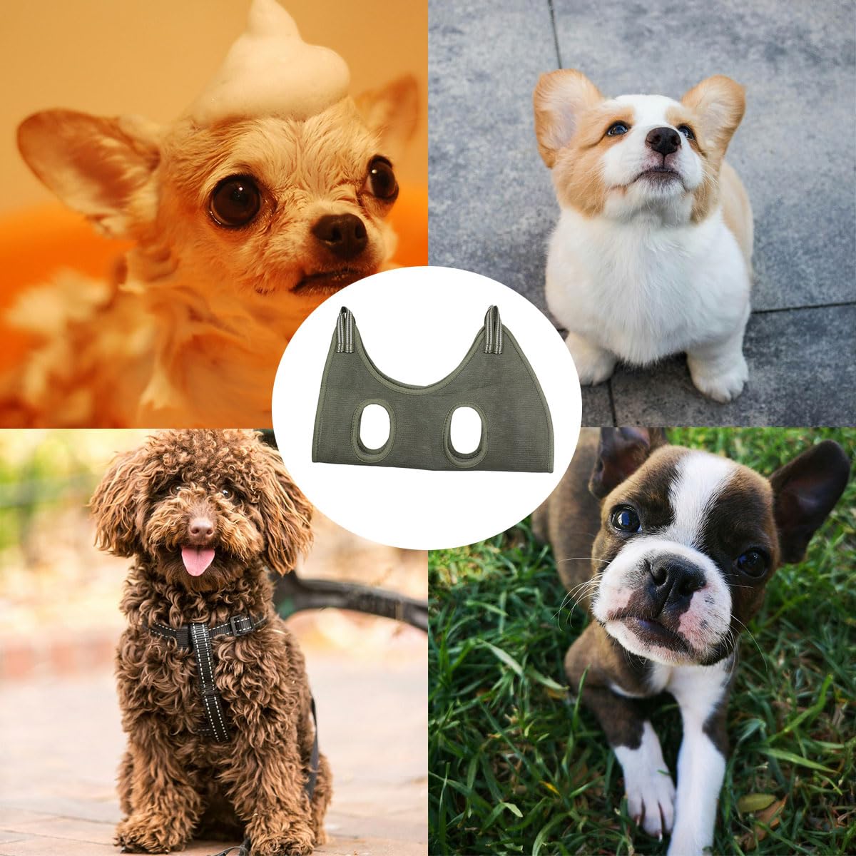 Haustier Hängematte Für Krallenschneiden - Hund & Katze Pflege-Hängematte Mit Gurt