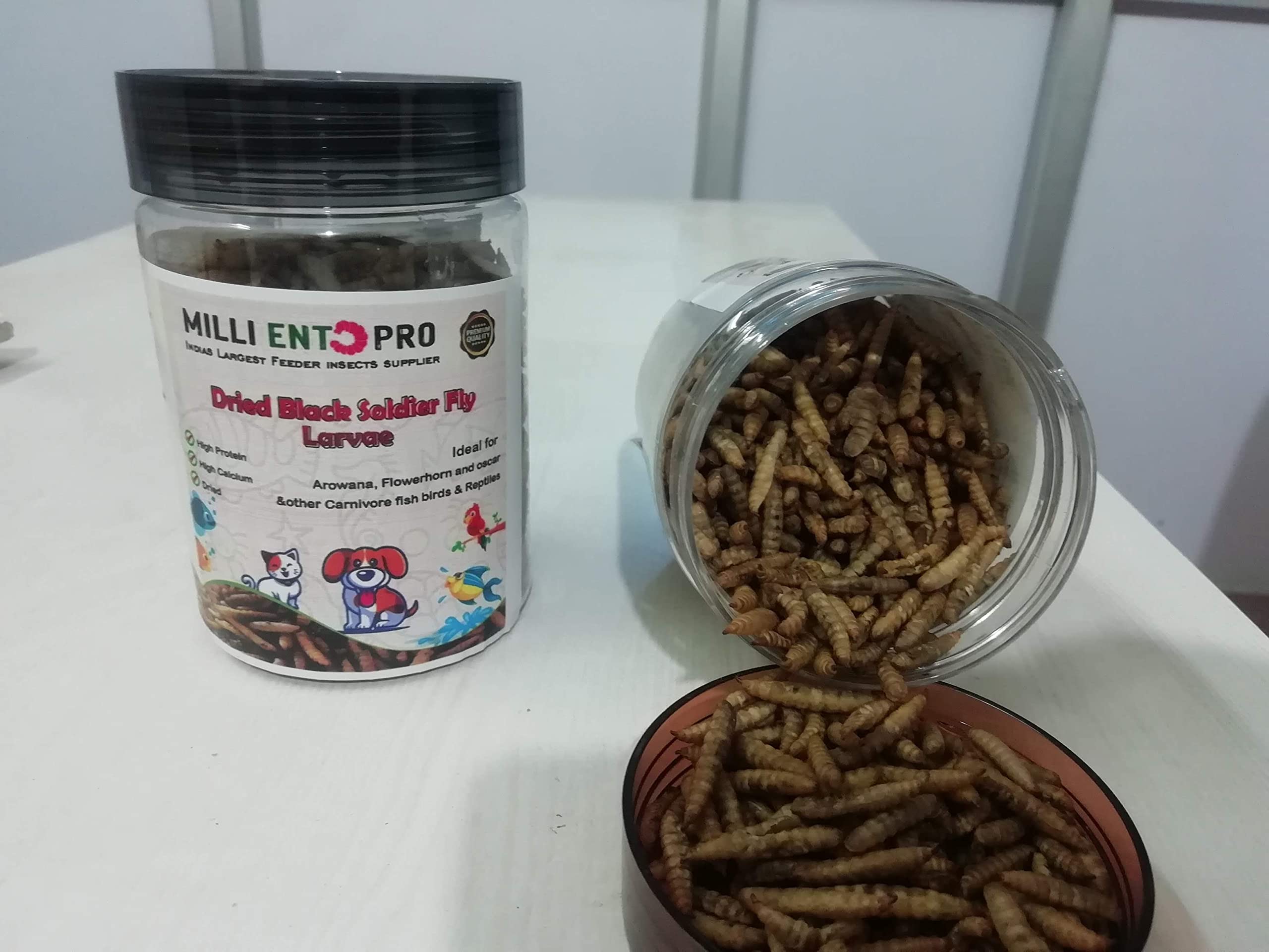 Milli Black Soldier Fly Larvae - 100% Natural, High Protein Young Adult Stick Fish Food for Arowana, Flowerhorn, Oscar, Parrots & Other Carnivores (50 Gm) (B09NV4TC2G) Amazon Price History, Amazon Price Tracker