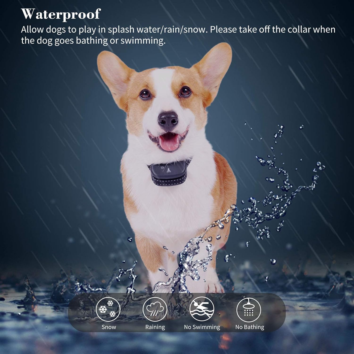 Are Citronella Dog Collars Safe