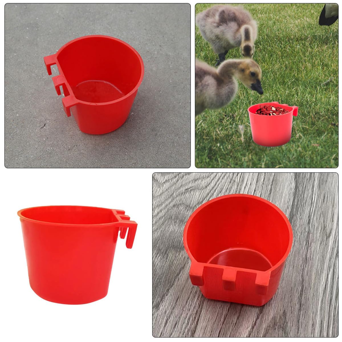 30 Tazas para Pájaros de Plástico PP Resistentes al Desgaste y Fáciles de Limpiar para Alimentación en Jaulas y Granjas de Aves