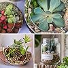 Product Photo 5