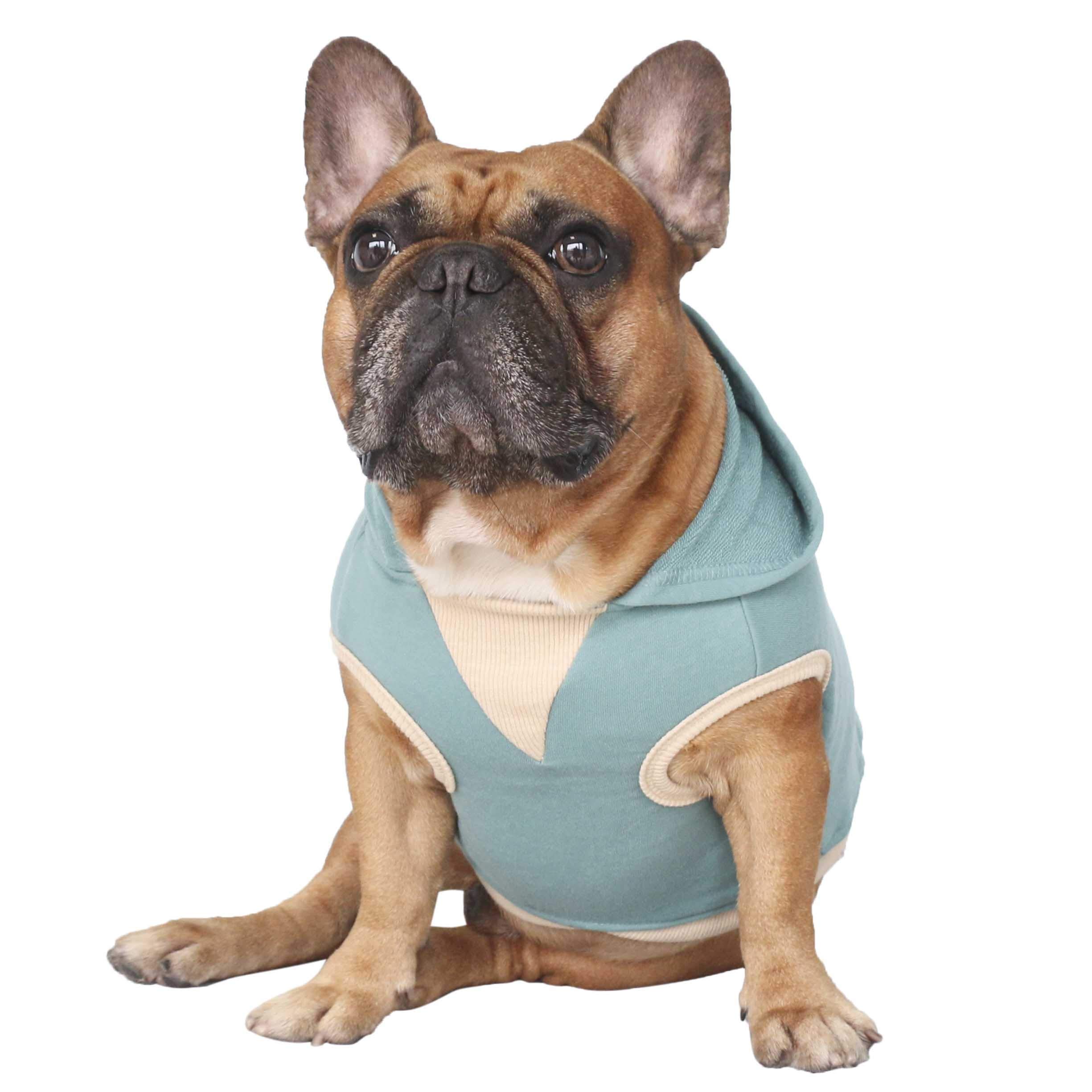 iChoue - Felpa con cappuccio per cani, con cappuccio, in cotone, motivo: bulldog inglese, Boston Terrier