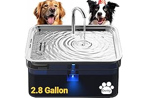 The Dogness Smart Water Fountain: Unleash a Clean and Healthy Hydration Journey...