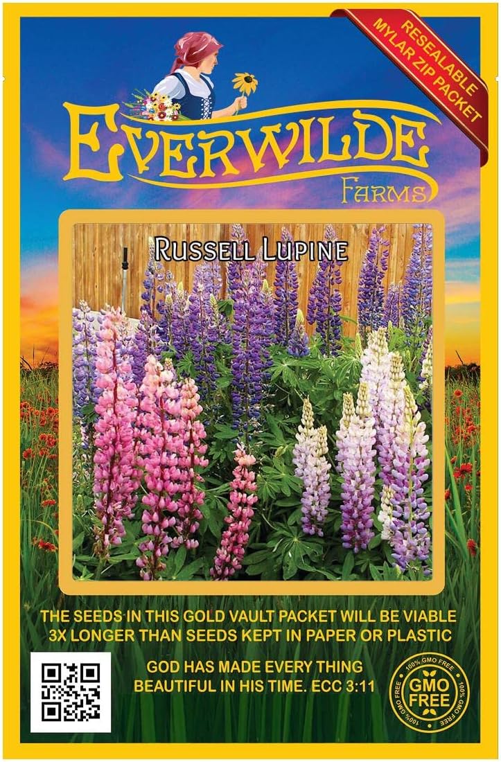 Everwilde Farms - 1 Lb Russell Lupine Native Wildflower Seeds - Gold Vault