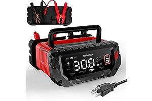 30 Amp 24V Battery Charger for Cars, Boats, Motorcycles, and More