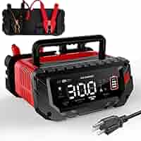 SMART CHARGER 15A 12V LEDディスプレイ付き Amazon.com: 30 Amp Lithium Battery Charger,6V/12V/24V