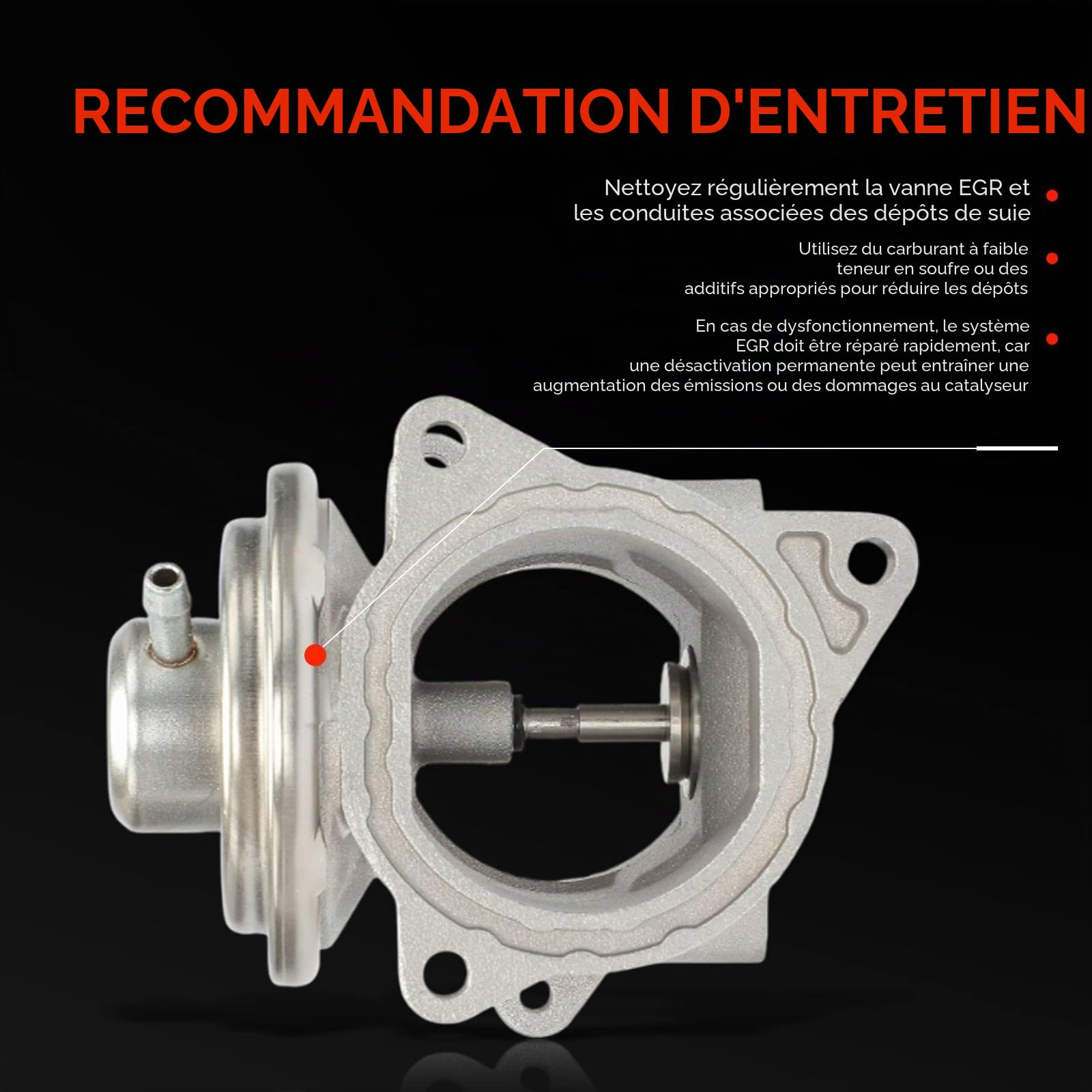 Frankberg Vanne EGR de recirculation des gaz d'échappement 555060 | Compatible avec: ,Caliber,,,New Beetle Cabriolet 1Y7,A3 Sportback 8PA,