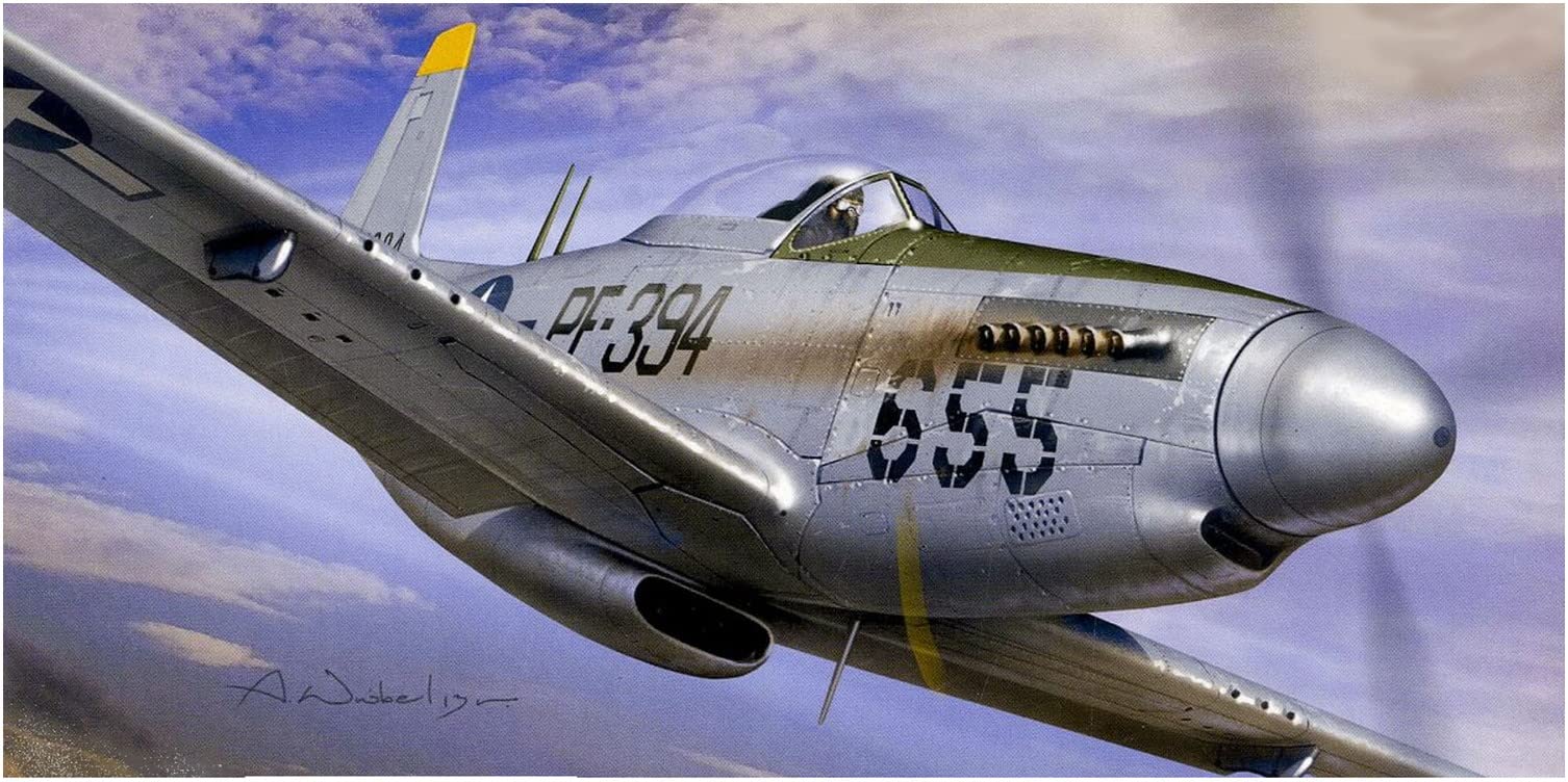 Amazon | RSモデル 1/72 アメリカ空軍 P-51H ムスタング プラモデル