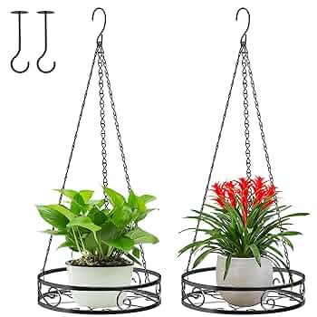 植物いろいろハンギング Amazon.co.jp: Qiaomeiysp 屋内植物用金属製ハンギング