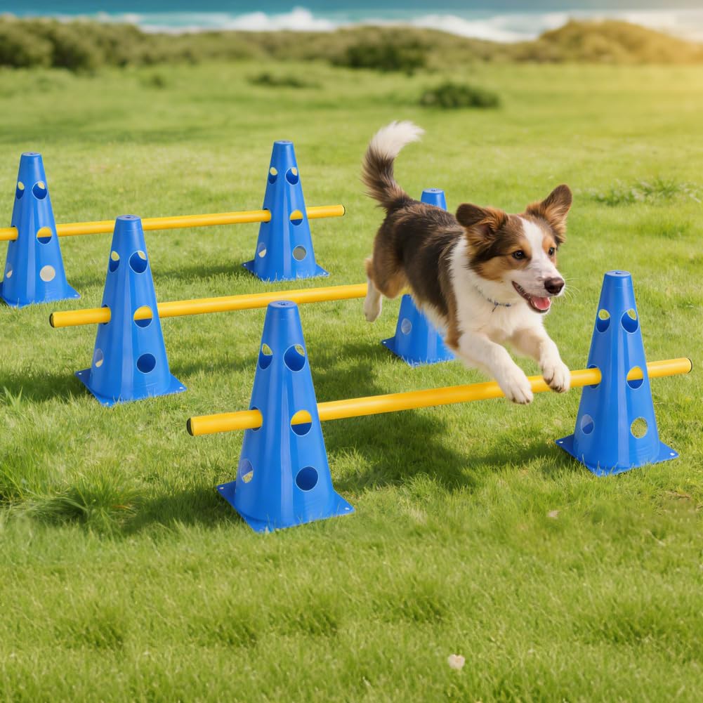 Sports - Juego de 10 conos + 5 barras, 23 cm de altura, 80 cm de longitud, entrenamiento de coordinación para niños, perros para saltar, juego de agilidad para fútbol, deportes de perro