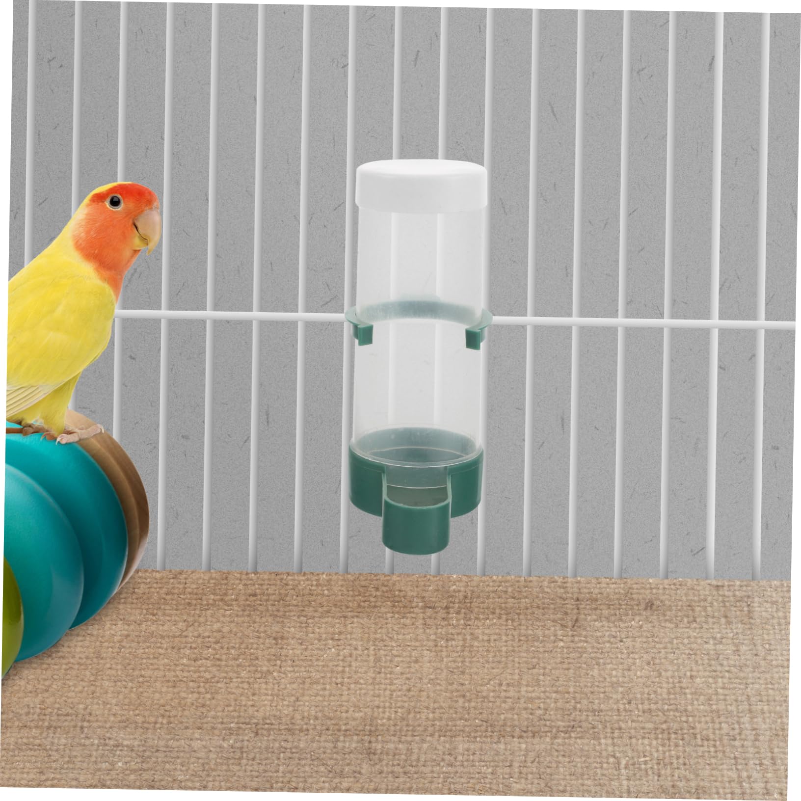 HANABASS 20stücke Automatischer Vogeltränke Für Käfige Wasserspender Für Sittiche Nymphensittiche Kanarienvögel Und Kleine Vögel Einfaches Nachfüllen Und Selbstbedienung Für