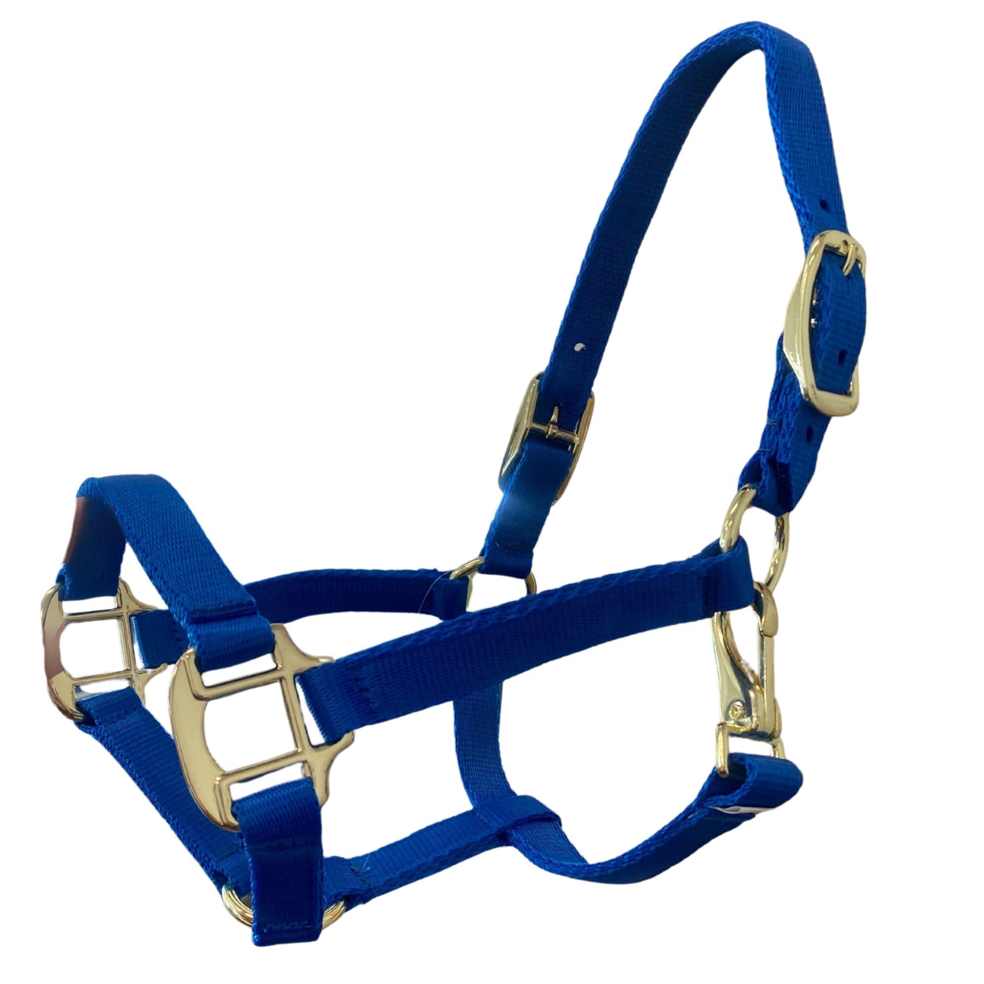 Intrepid International Nylon Miniature Horse Halter