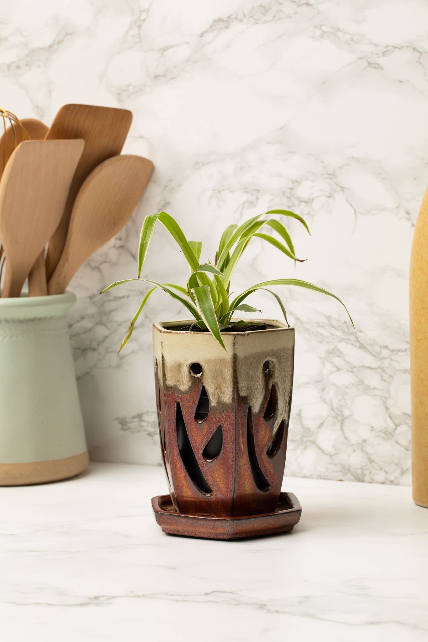 rePotme Spider Plant Imperial Houseplant Potting Soil Mix bag