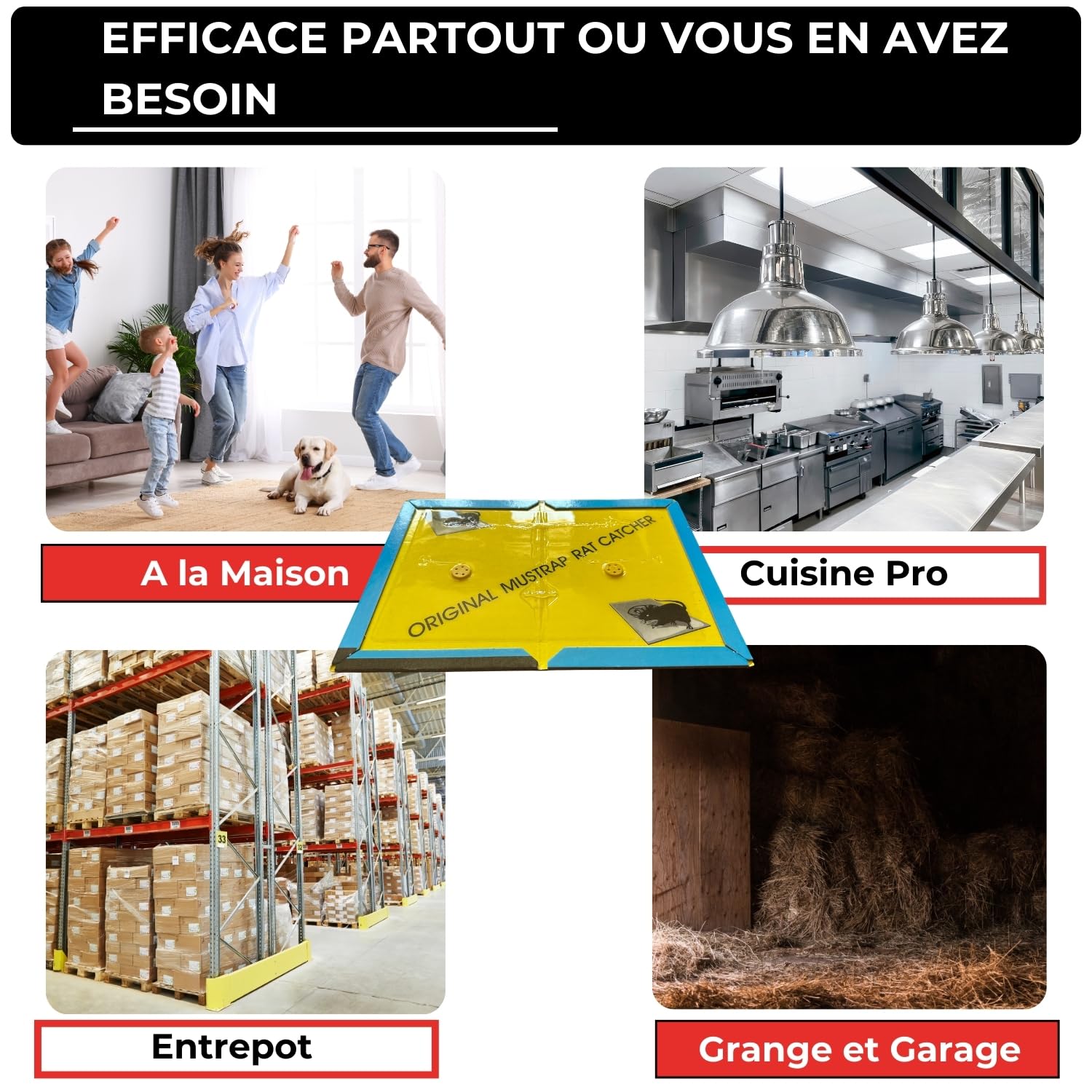 Piège à Souris et Rat Professionnel - 10 Plaques de Glue Collantes Anti Rongeur - Attrape Souris Ultra Puissant - Piège à Colle Extra Fort - Wemk