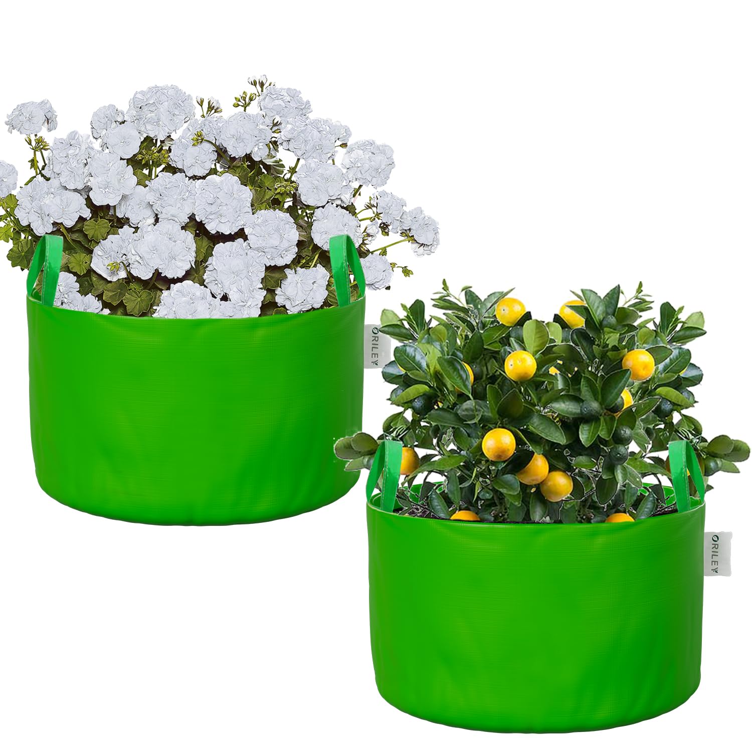 Oriley Grow Bags - Durable Plant Containers -1 Oriley Grow Bags - Durable Plant Containers -1