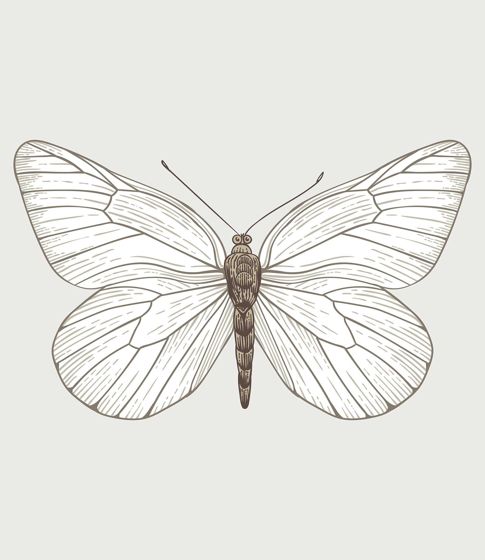 Tapisserie Papillon Blanc lavable et facile à poser pour grand mur