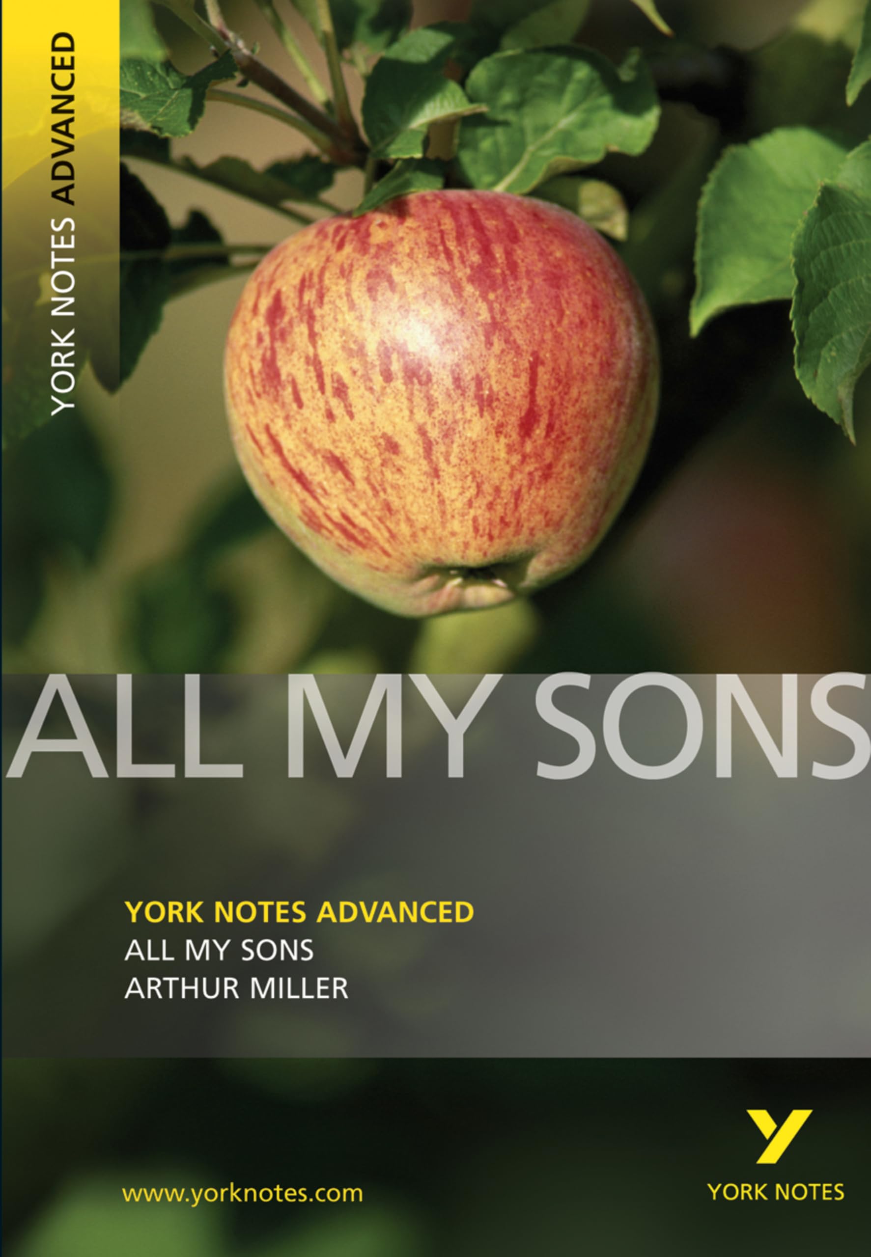 York Notes Advanced All My Sons English Literature Study Guide