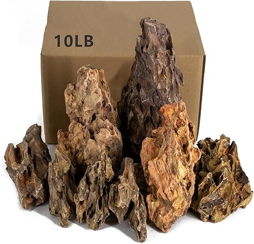 Dragon Rocks - Piedras naturales para acuarios, acuarios, terrarios, piedra decorativa de vivarium, recintos de reptiles, paludarios y jardines, 10
