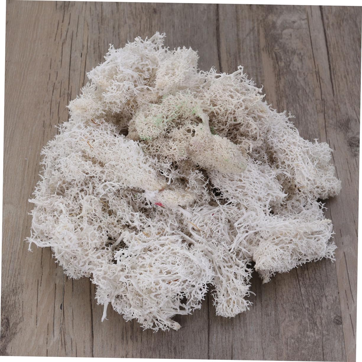 Anneome 3pcs Preserved Moss for Crafts White DIY Floral Material for Wedding Bouquets Terrariums and Home Decor Beautiful Pliable Less Dusty for Fairy Gardens