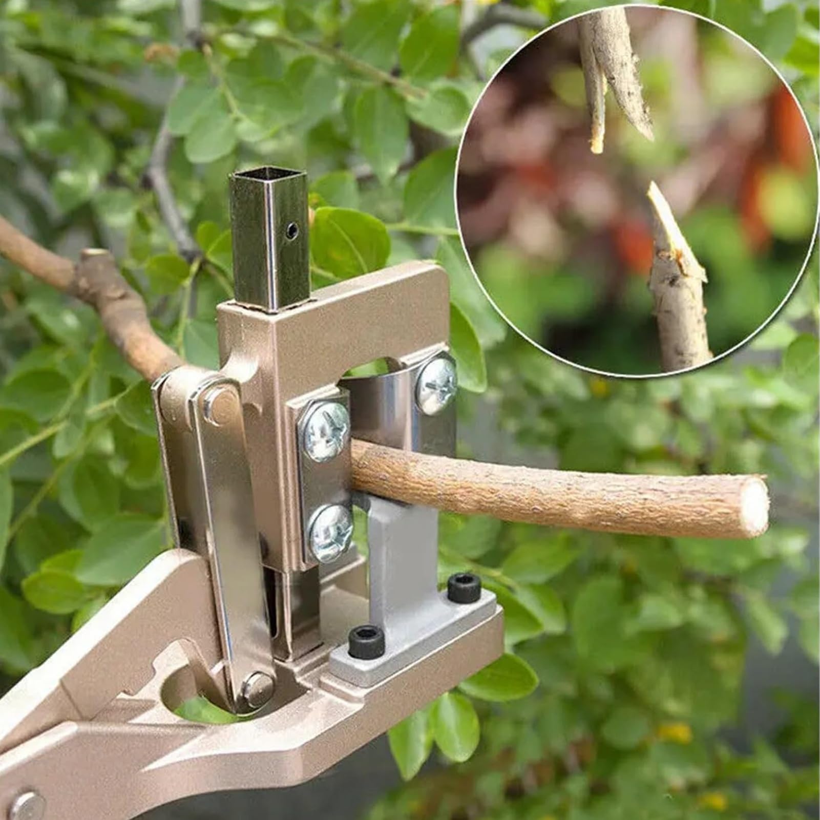 Strumento Professionale for Innesto, Potatore for Innesto Da Giardino, Cesoie Da Potatura ergonomiche, Manico Robusto In Lega Di Alluminio, for Viti Di Alberi Da Frutto Cesoie