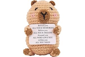 Mini Knitted Capybara Toy: Remember Your Joy