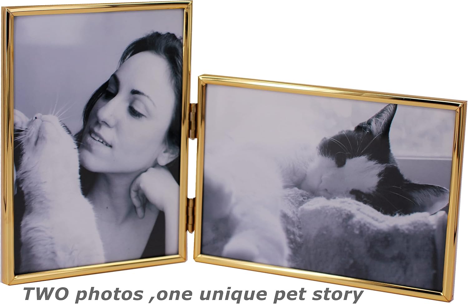 Vertical Horizontal Combo- Double 5 by 7 Inch Metal Folding Picture Frames-(1 Landscape and 1 Portrait Style) (modern gold)