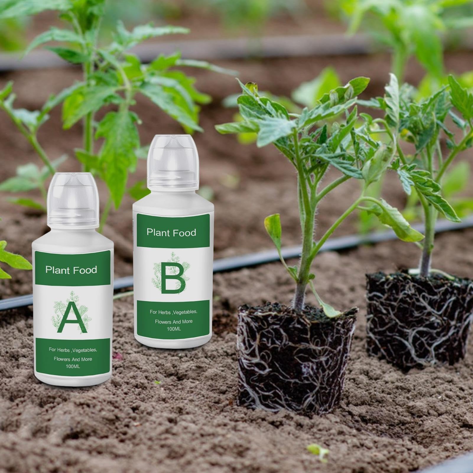 Hydrokultur Dnger - Flssigdnger | Hydro-Anzucht Nhrlsung | Nhrstoffe  Als Konzentrat | Pflanzenfutter Fr Hydrokultursysteme | Dnger A & B  Lsung Fr Garten Fr Die produktion, Bltenwac : Amazon.de: Garten