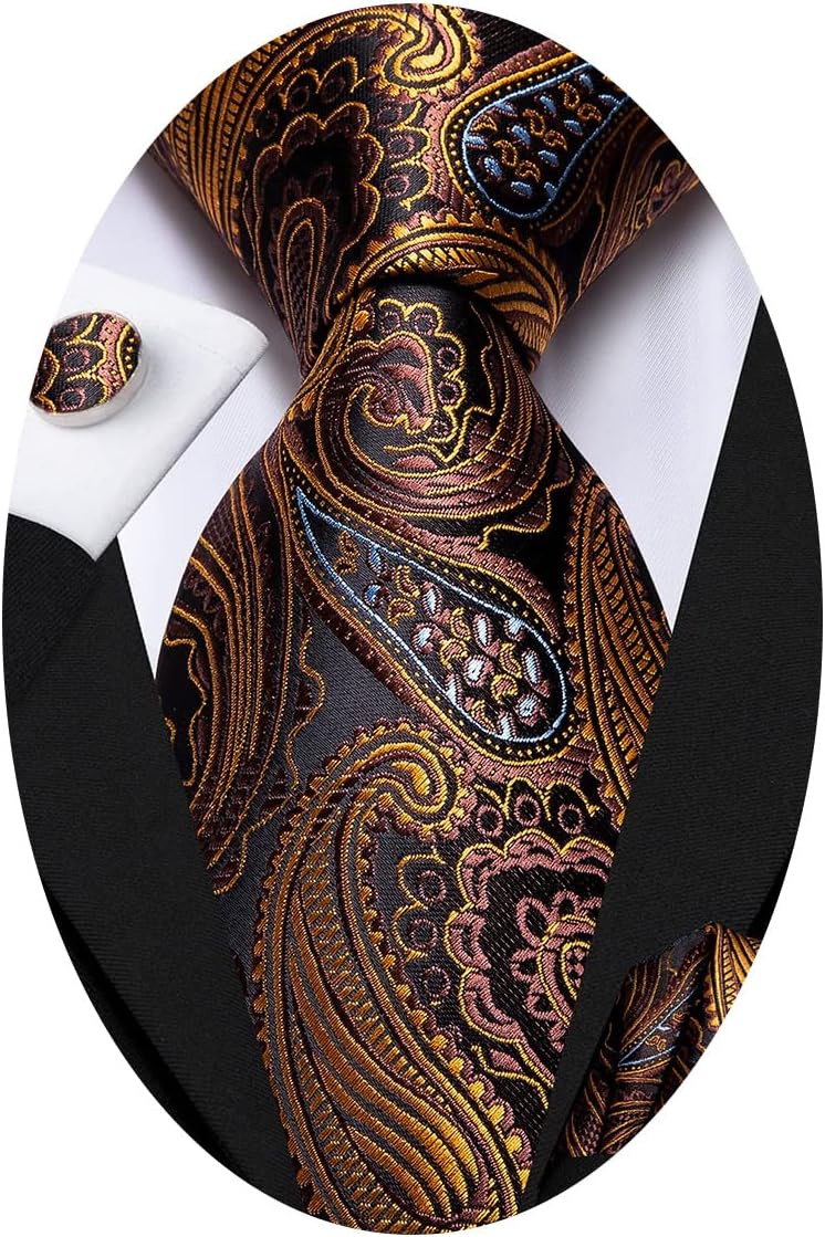 Hi-Tie Silk Paisley Ties for Men Necktie Pocket Square Cufflinks Set Foral Tie Sets Formal Business