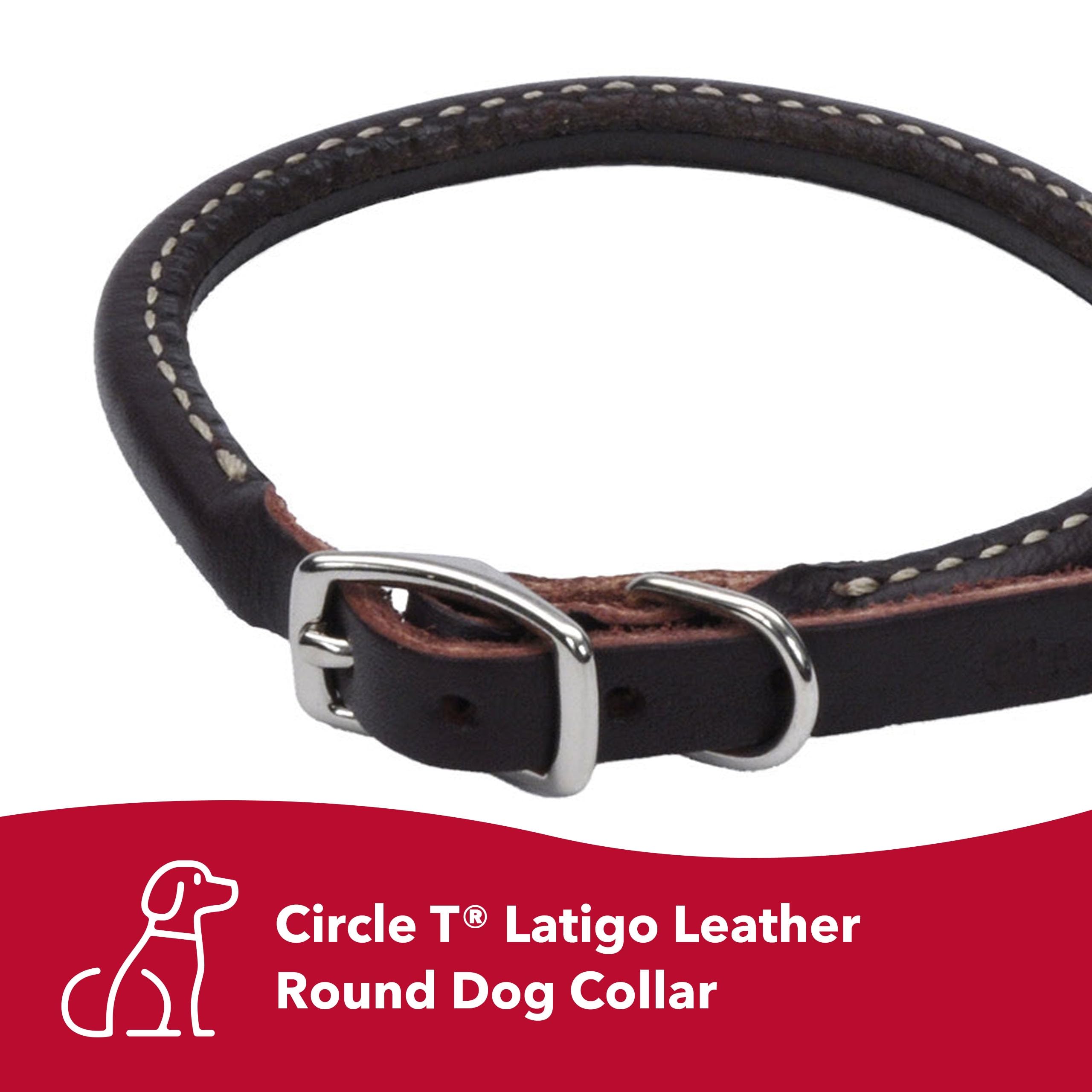 Coastal Pet Circle T Latigo Leather Round Dog Collar - for Small