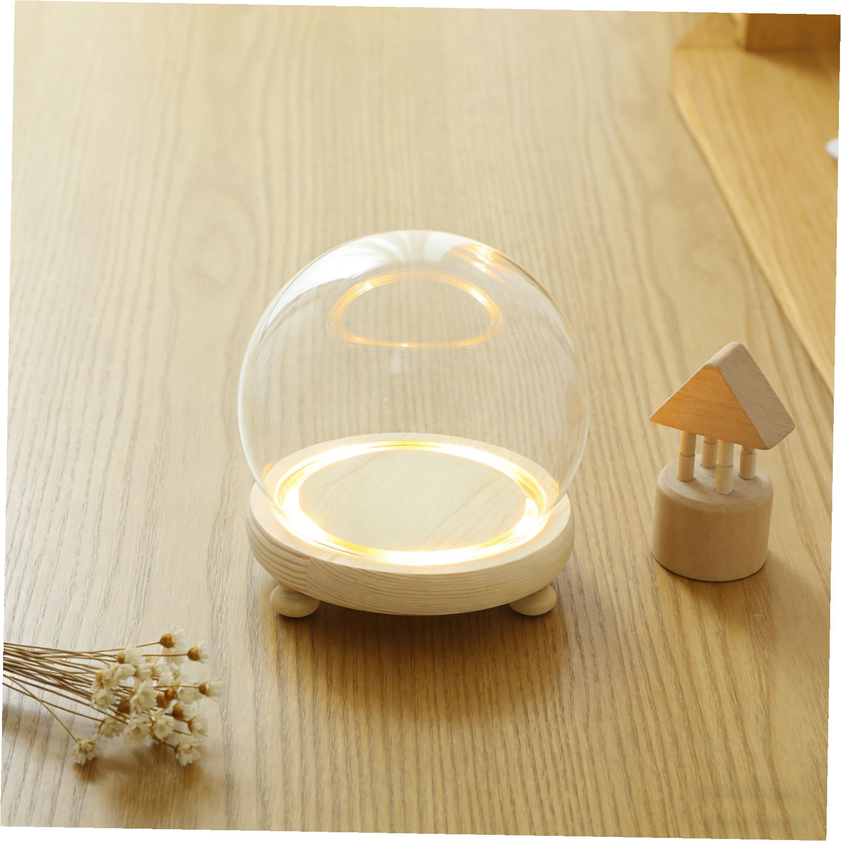Cupola in Vetro Trasparente Base in Legno per Fiori Conservati e Micro Paesaggi Luminosi, Decorazione da Tavolo per Casa, Negozio e Caffetteria, Copertura Antispolvero per Piante
